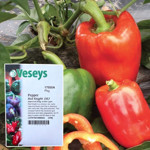 Veseys Seeds - Image 13