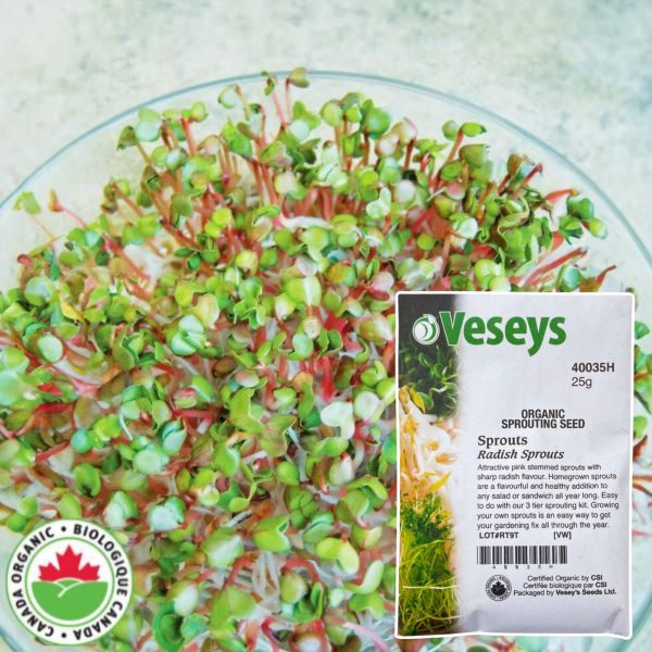 Veseys Seeds - Image 16