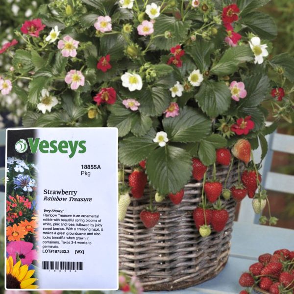 Veseys Seeds - Image 19