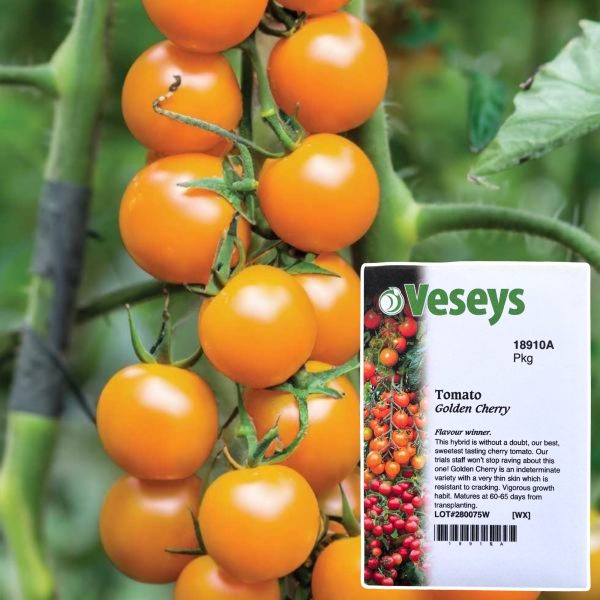 Veseys Seeds - Image 22