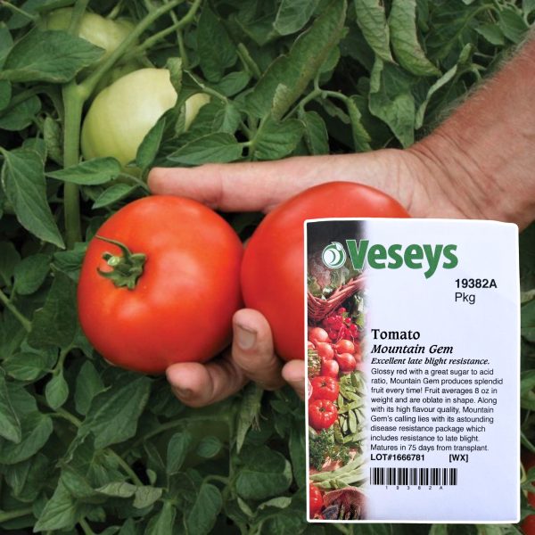 Veseys Seeds - Image 23