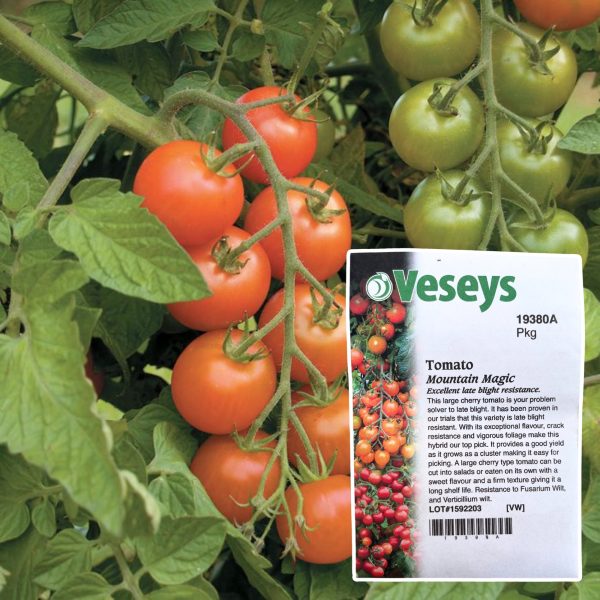 Veseys Seeds - Image 24