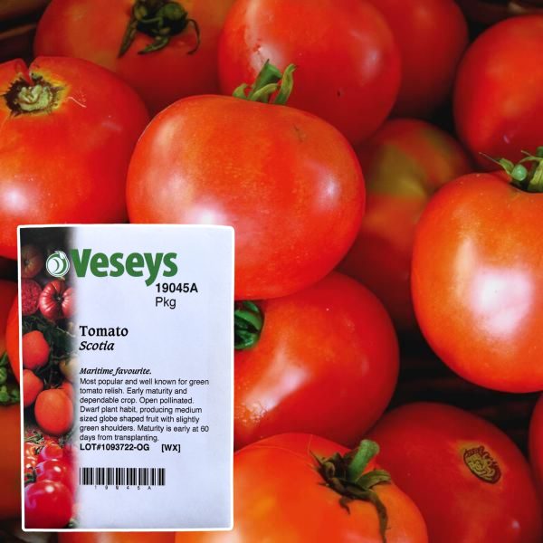 Veseys Seeds - Image 28