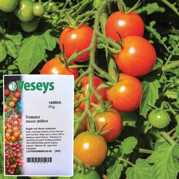 Veseys Seeds - Image 30