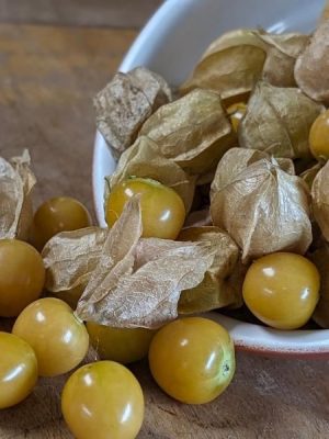 Aunt Mollys Organic Ground Cherries