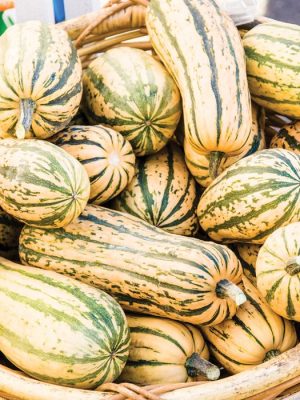 Honeyboat Delicata Squash