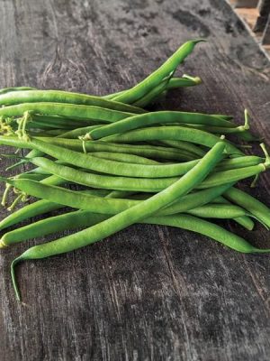 Lewis Green Bean Seeds