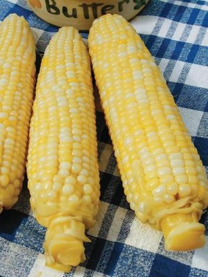 Luscious Corn