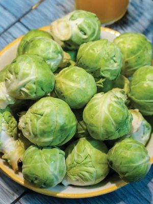 Marte Brussels Sprouts