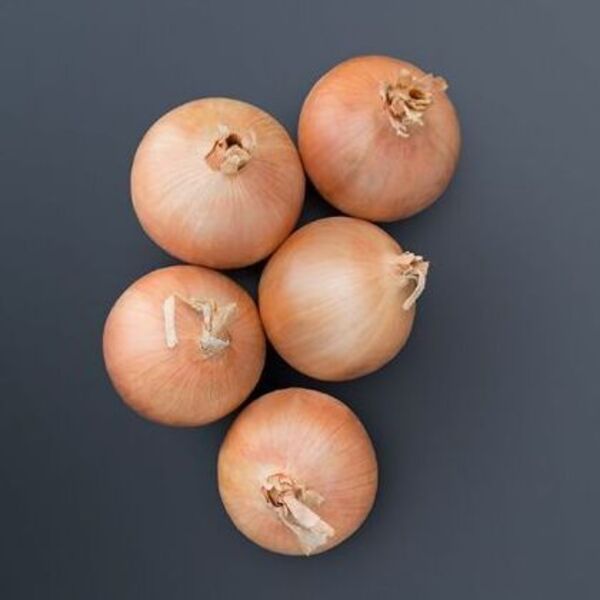 Oneida Onion