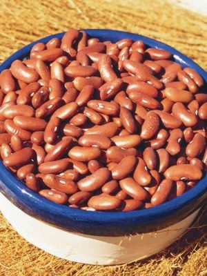 Red Kidney Baking Bean