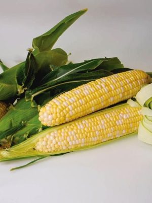 Sweetness Corn
