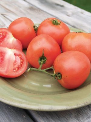 Tasti-Lee Tomato Seeds