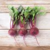Zeppo RZ Beet