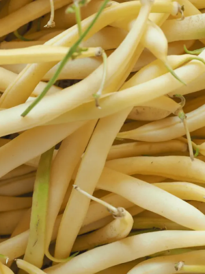 Beans Gold Rush