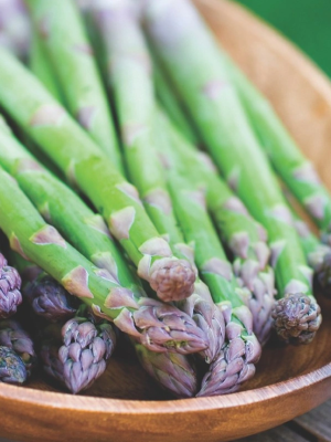 Asparagus Mary Washington
