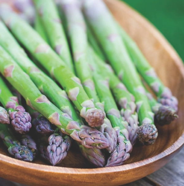 Asparagus Mary Washington