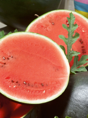 Watermelon Sugar Baby
