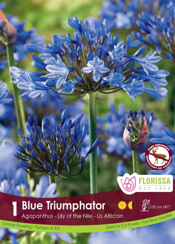 Blue Triumphator