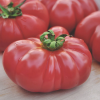 Tomato Brandywine