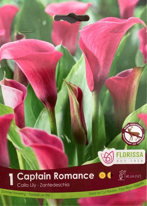 Calla Lily Captain Romance