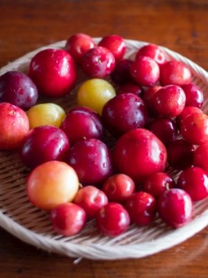 Combo Plum