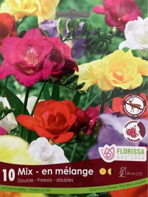 Freesia Double Mix