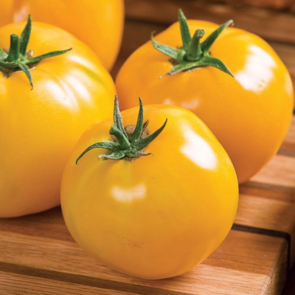 Tomato Lemon Boy