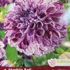 Dahlia Marble Ball