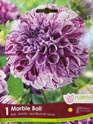 Dahlia Marble Ball