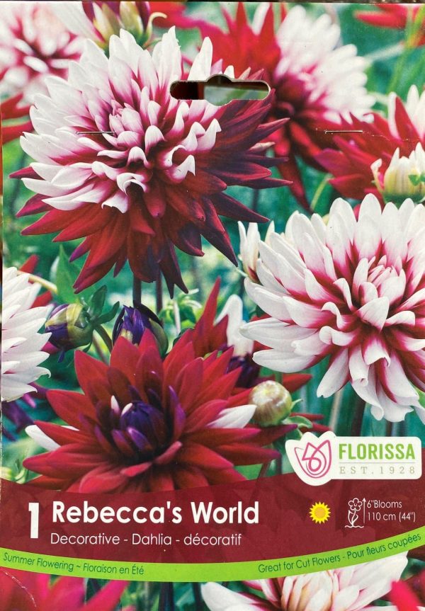 Dahlia Rebecca's World