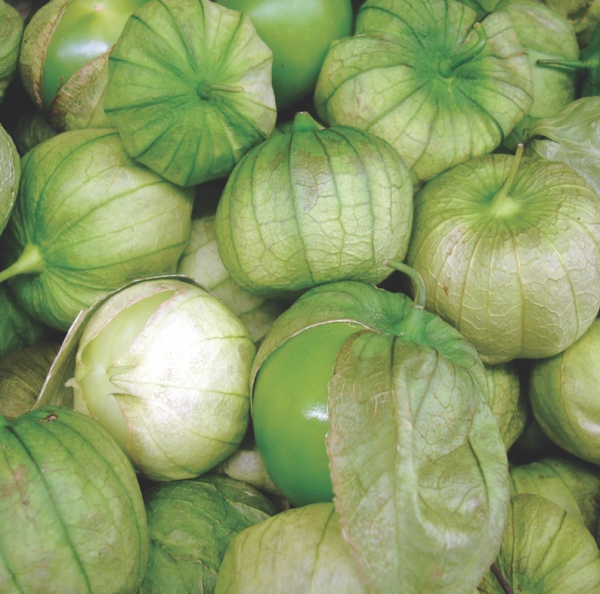 Tomatillo Toma Verde