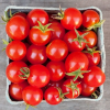 Tomato Sweetie Organic