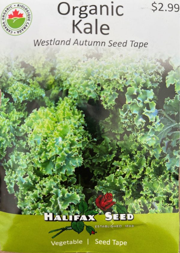 Kale Westland Autumn