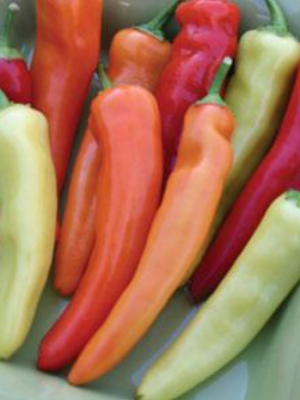 Pepper 'Hungarian Hot Wax Pepper'