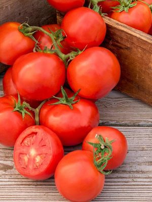 Tomato 'Oh Happy Day'
