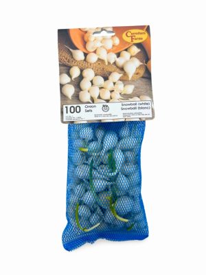 Onion Set - Snowball White