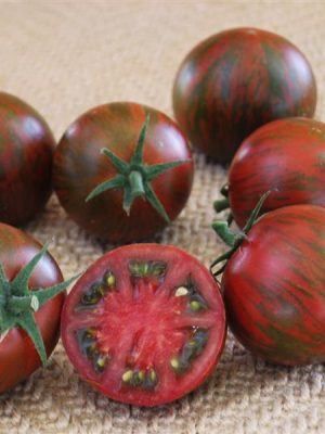Tomato 'Purple Zebra'