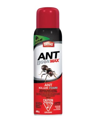 Ant B Gon Foam
