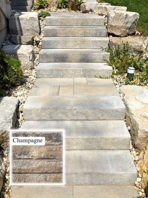 Oaks Aria Step - Champagne