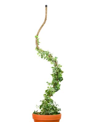 Bendable Coir Pole