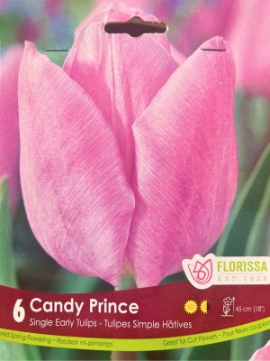 Candy Prince