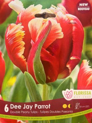 Dee Jay Parrot