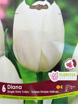 Diana