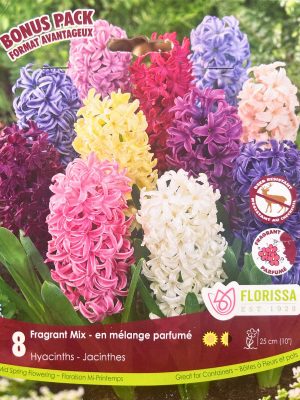 Fragrant Mix