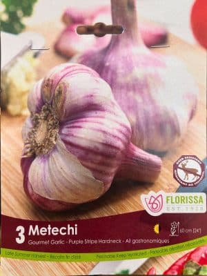 Metechi