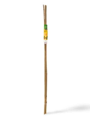 Miracle Gro Bamboo Stakes - 6 x 5ft.