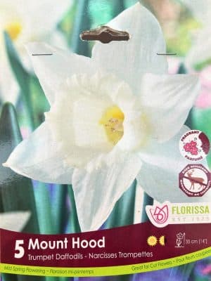 Mount Hood Daffodil
