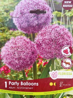 Party Balloons