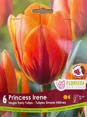 Princess Irene